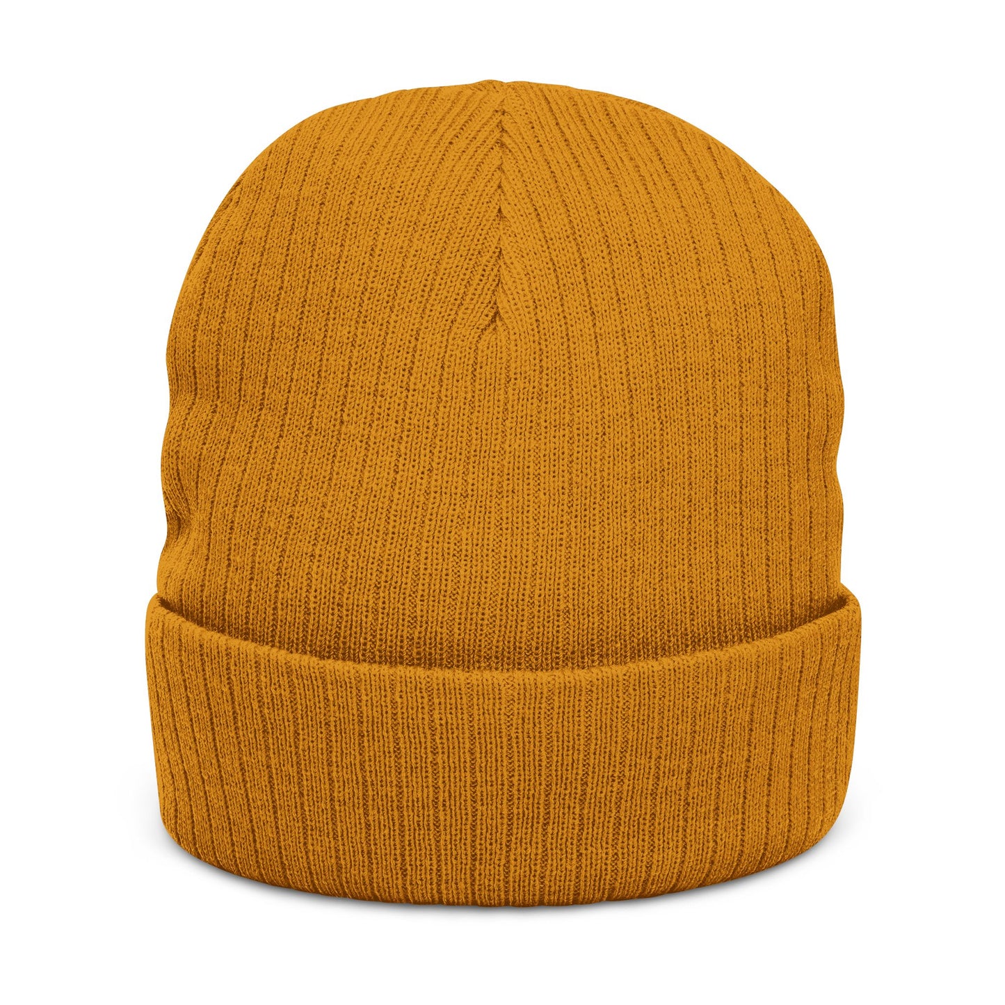 Grounded Ribbed Knit Embroidered Beanie