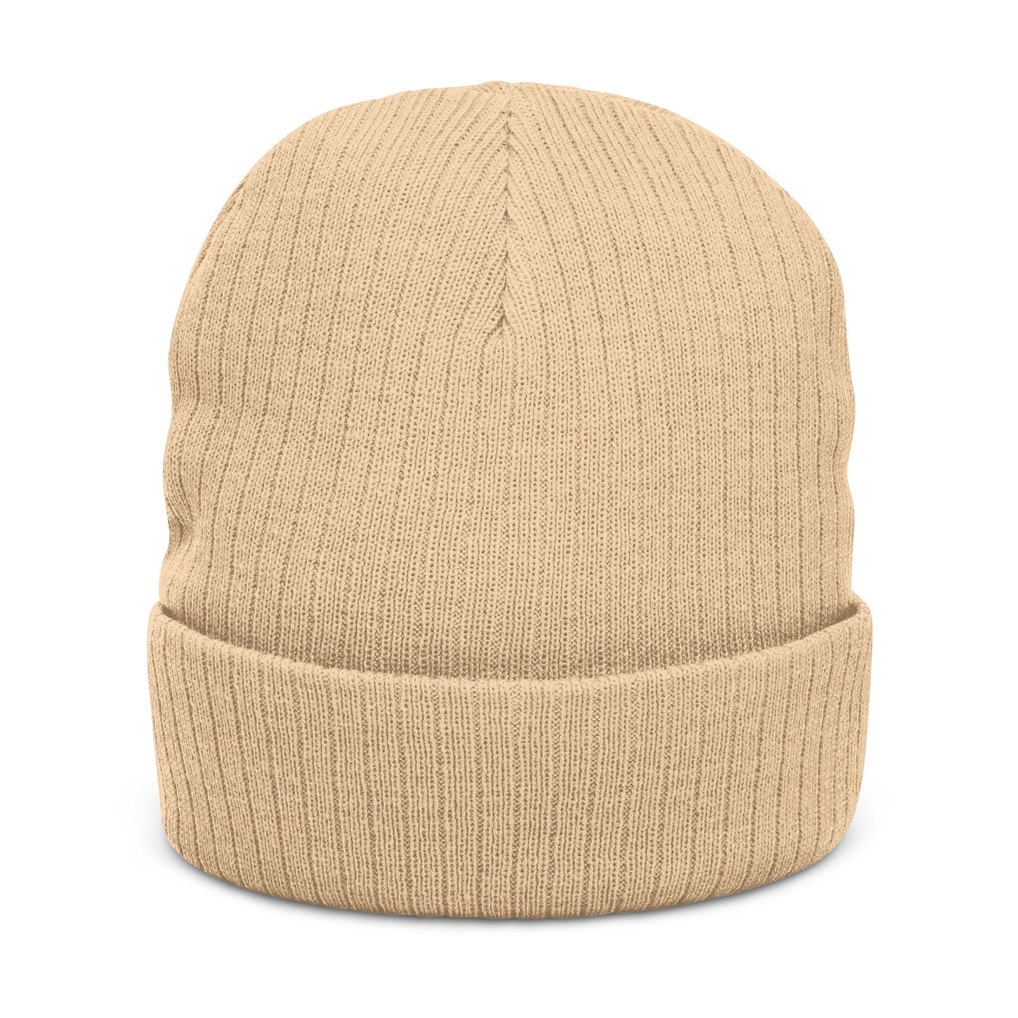 Grounded Ribbed Knit Embroidered Beanie