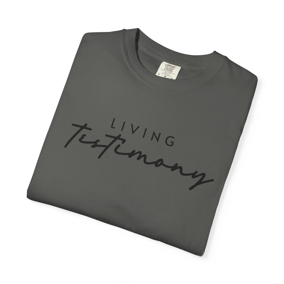 Living Testimony Garment-dyed T-Shirt