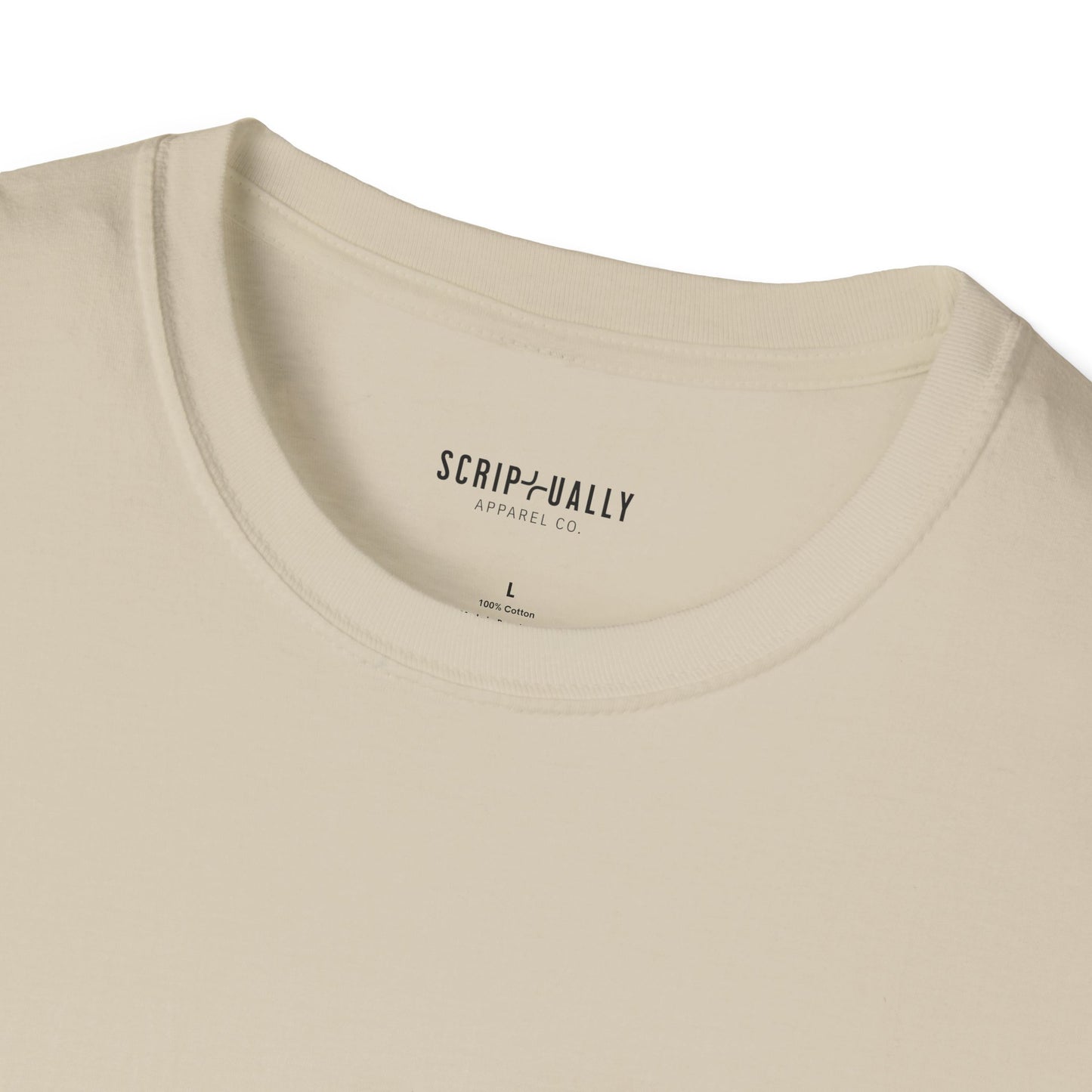 Holy Spirit Romans 826 Softstyle T-Shirt
