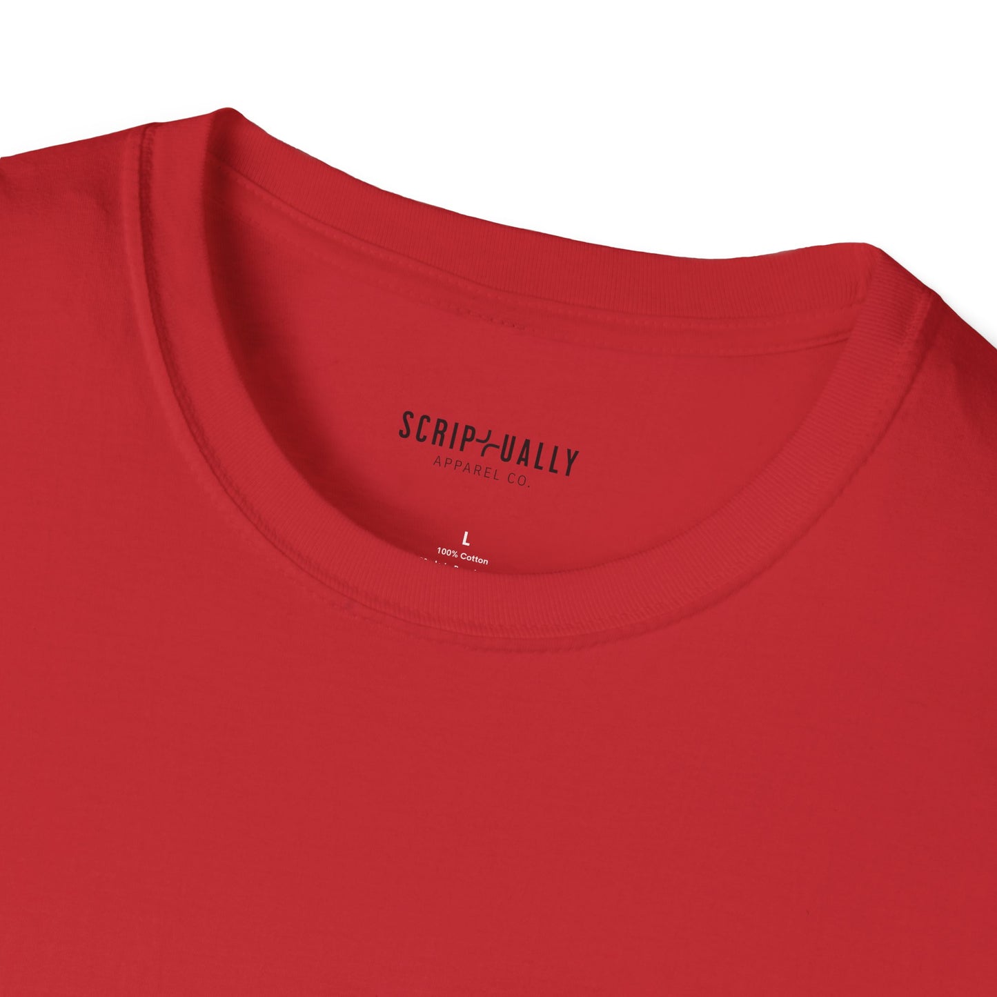 Holy Spirit Romans 826 Softstyle T-Shirt