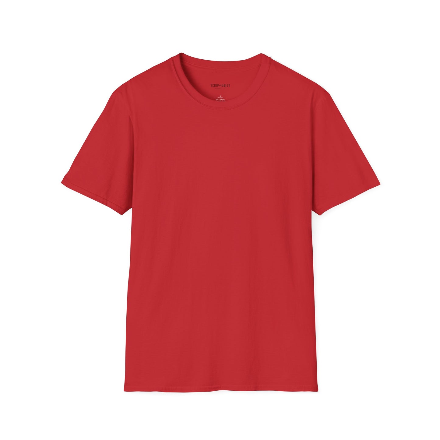 Holy Spirit Romans 826 Softstyle T-Shirt