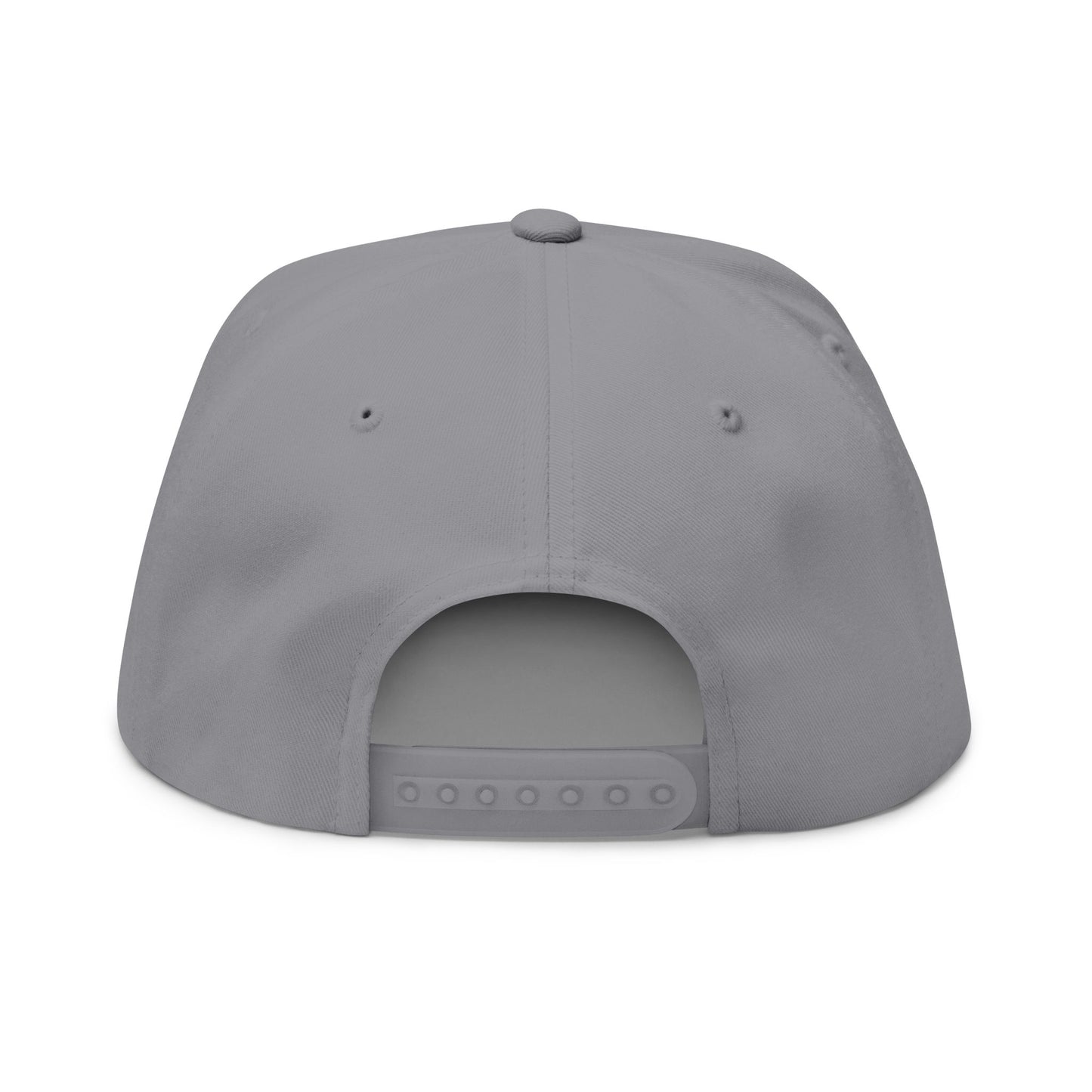 Grounded Embroidered Flat Bill Cap