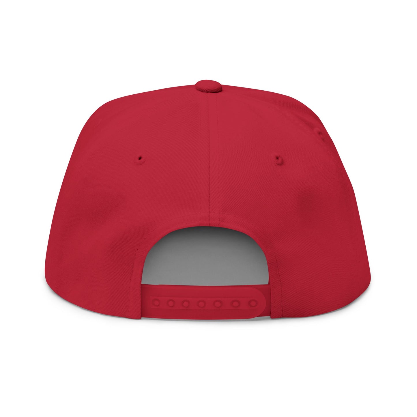 Grounded Embroidered Flat Bill Cap