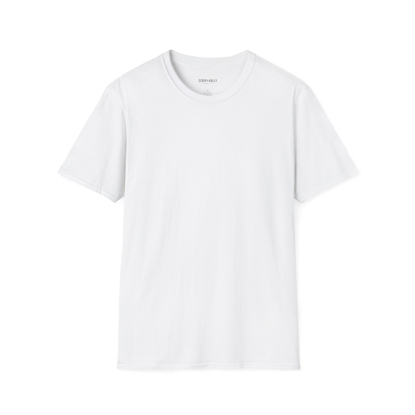 Holy Spirit Romans 826 Softstyle T-Shirt